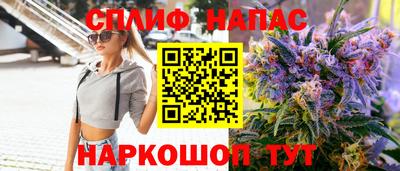 индика Рыбинск
