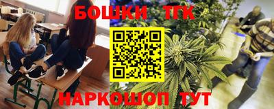 индика Рыбинск