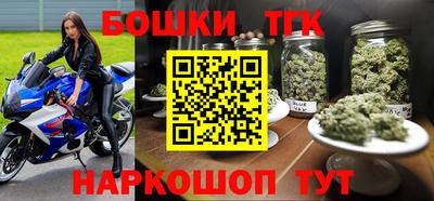 индика Рыбинск