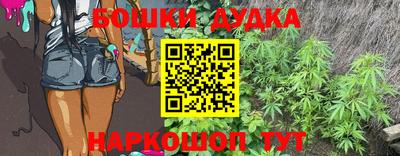 индика Рыбинск
