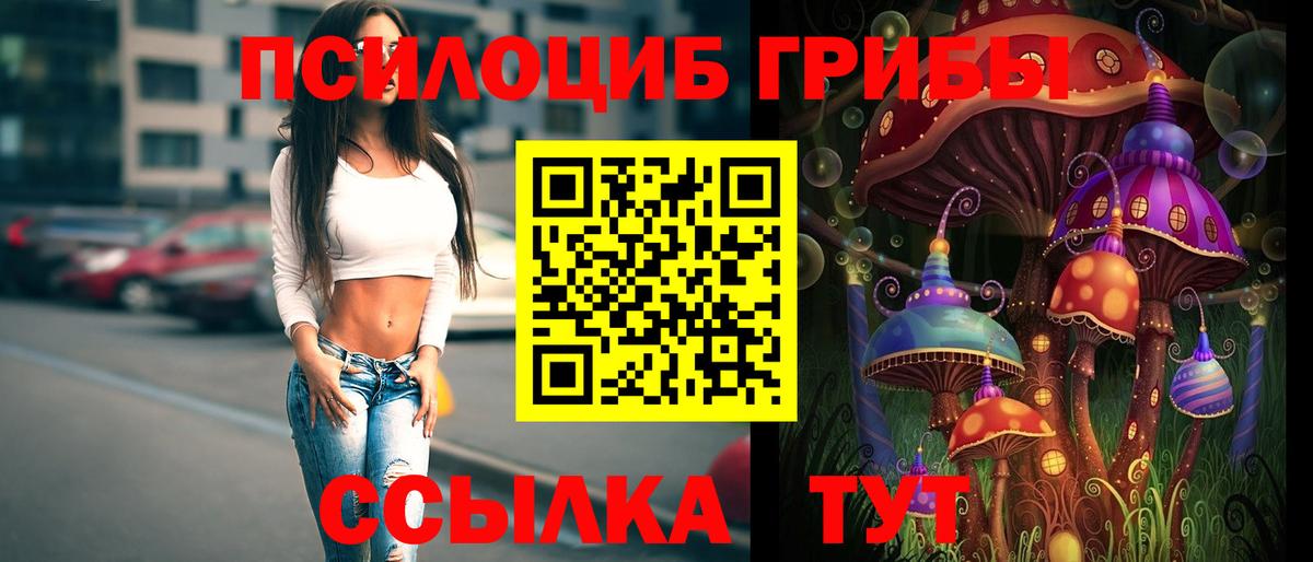 Санкт-Петербург  Галлюциногенные грибы Psilocybe  Вход с VPN  Галлюциногенные грибы GOLDEN TEACHER 